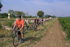 There is a field road through maize-land. The sun is shining, it is warm, the sky is blue with some very light clouds. There are some smaller trees farther away. Our team -approximately 40 bikers men, women and children- are trying to go through the country in a single row. We can feel that is a hard work for everybody.